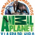 Logo animal.jpg (561 KB)